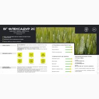 Насіння пшениці BG Flexadur 2S ( БГ Флексадур 2С ) дворучка, тверда - Durum Seeds