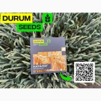 Насіння пшениці Durum Seeds. Сорт БГ Уніголд - Оригінатор Biogranum (Сербія)