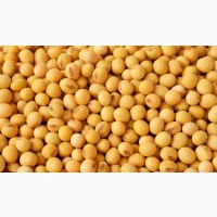 Соя на экспорт (Soybeans seeds for EXPORT) (FCA, FOB, CIF)
